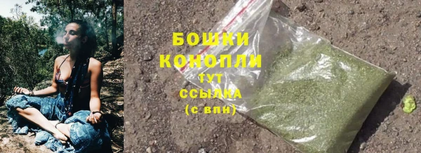 a pvp Белокуриха